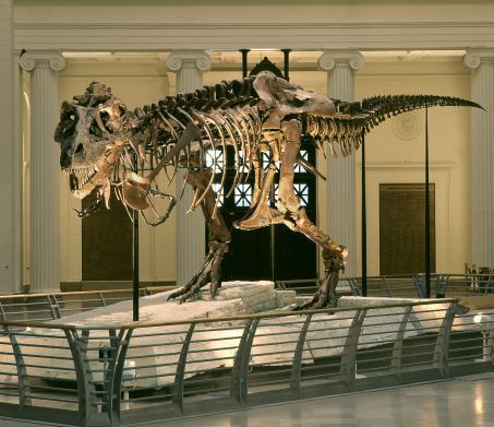 Sue